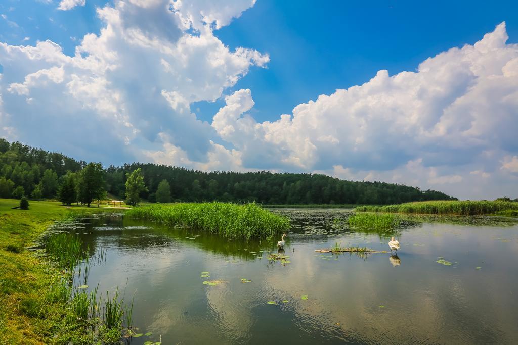 Warminska Winnica Barczewo Exteriör bild